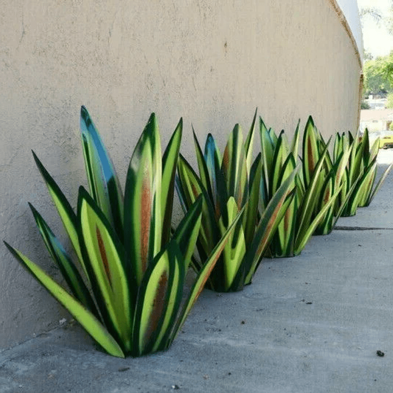 Row of striped green and brown garden light plants against a beige wall.