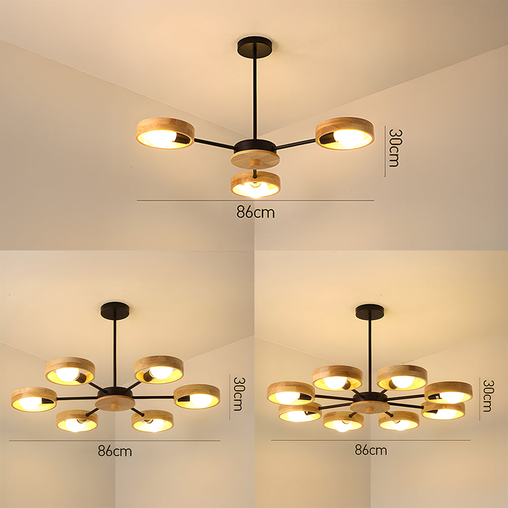 Modern Ceiling Lamp Eco-Friendly Style for Living Room