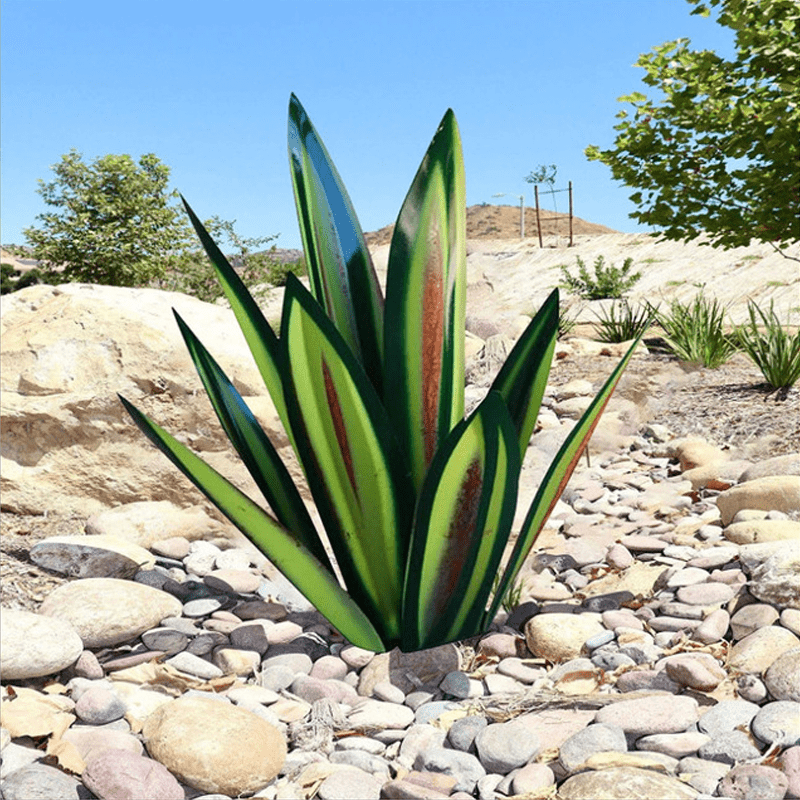 Garden light Spiky green plant in a rocky landscape with clear blue sky