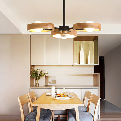 Modern Ceiling Lamp Eco-Friendly Style for Living Room