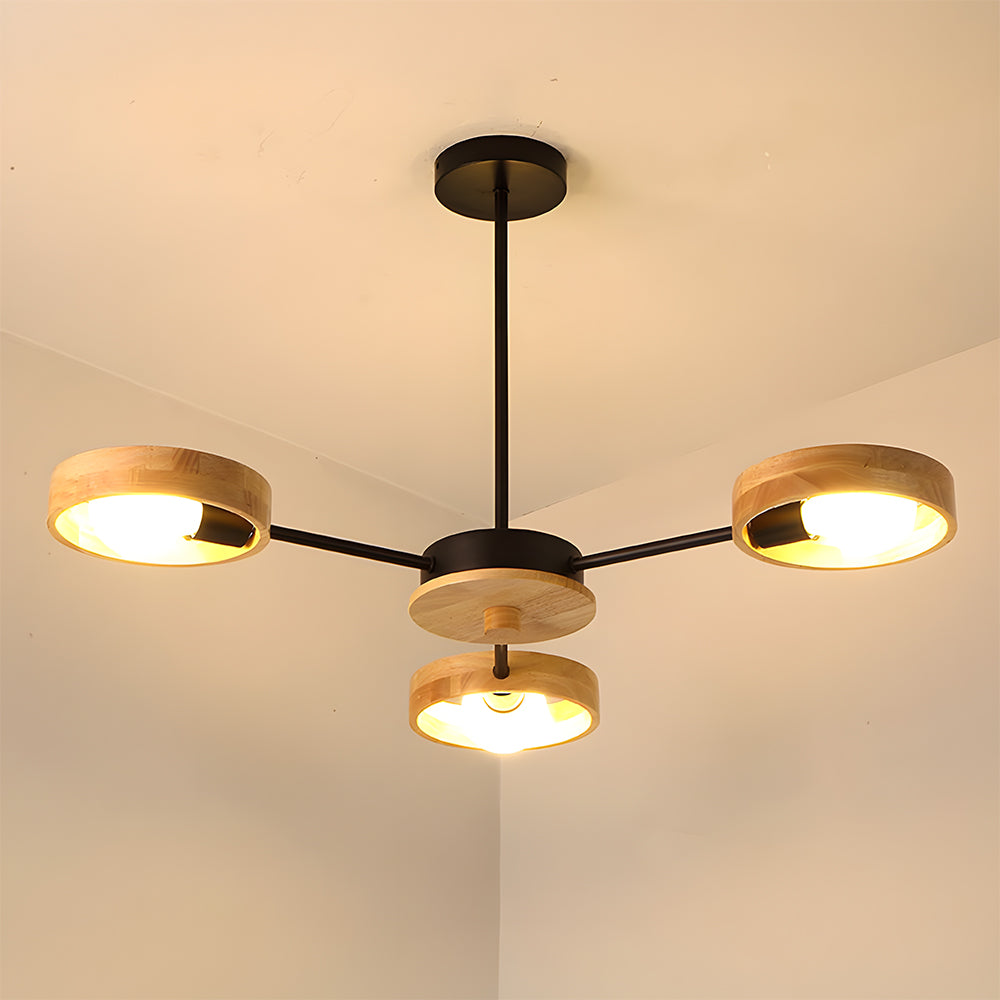 Modern Ceiling Lamp Eco-Friendly Style for Living Room