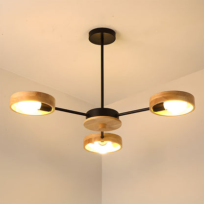 Modern Ceiling Lamp Eco-Friendly Style for Living Room