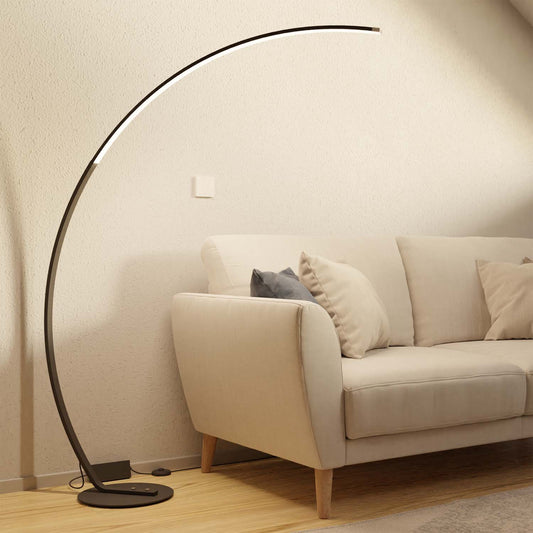 Curved Floor Lamp with Minimalist Design