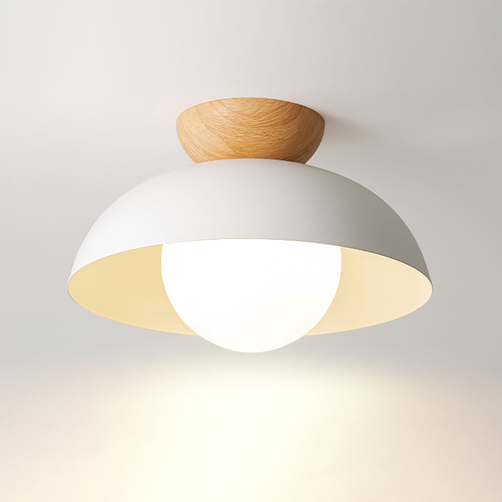 Modern Minimalist Flush Mount Ceiling Light for Contemporary Home Decor 0