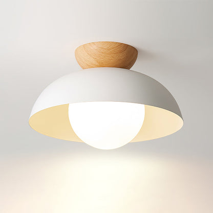Modern Minimalist Flush Mount Ceiling Light for Contemporary Home Decor 0