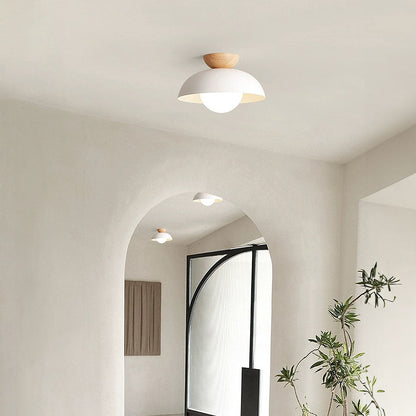 Modern Minimalist Flush Mount Ceiling Light for Contemporary Home Decor 1