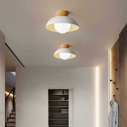 Modern Minimalist Flush Mount Ceiling Light for Contemporary Home Decor 2