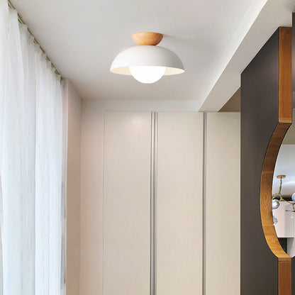 Modern Minimalist Flush Mount Ceiling Light for Contemporary Home Decor 3