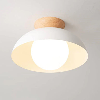 Modern Minimalist Flush Mount Ceiling Light for Contemporary Home Decor 5