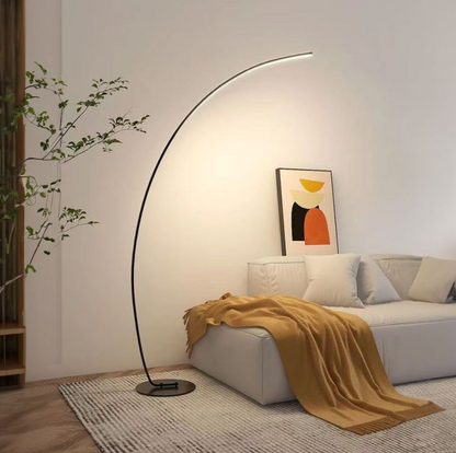 Curved Floor Lamp with Minimalist Design