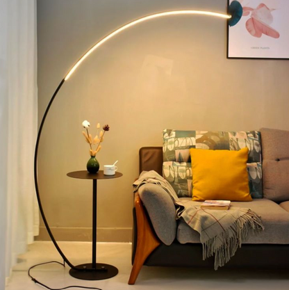 Curved Floor Lamp with Minimalist Design