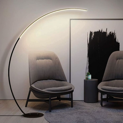 Curved Floor Lamp with Minimalist Design