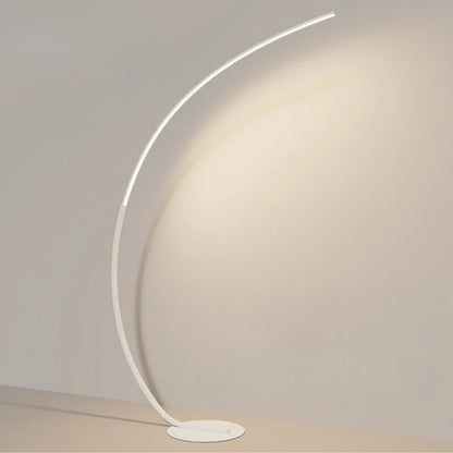 Curved Floor Lamp with Minimalist Design