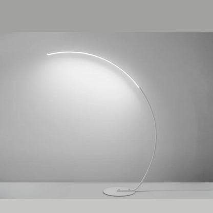 Curved Floor Lamp with Minimalist Design